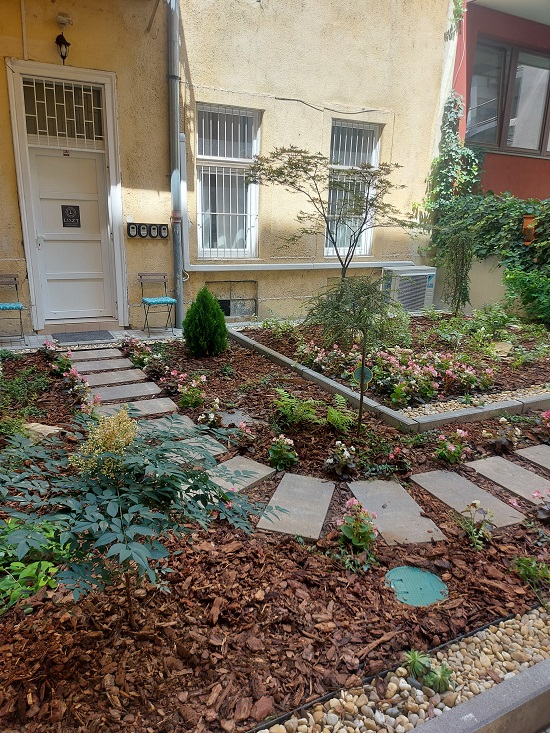 service image 6